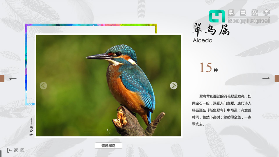 浙江自然博物館 美麗的羽毛科普屏