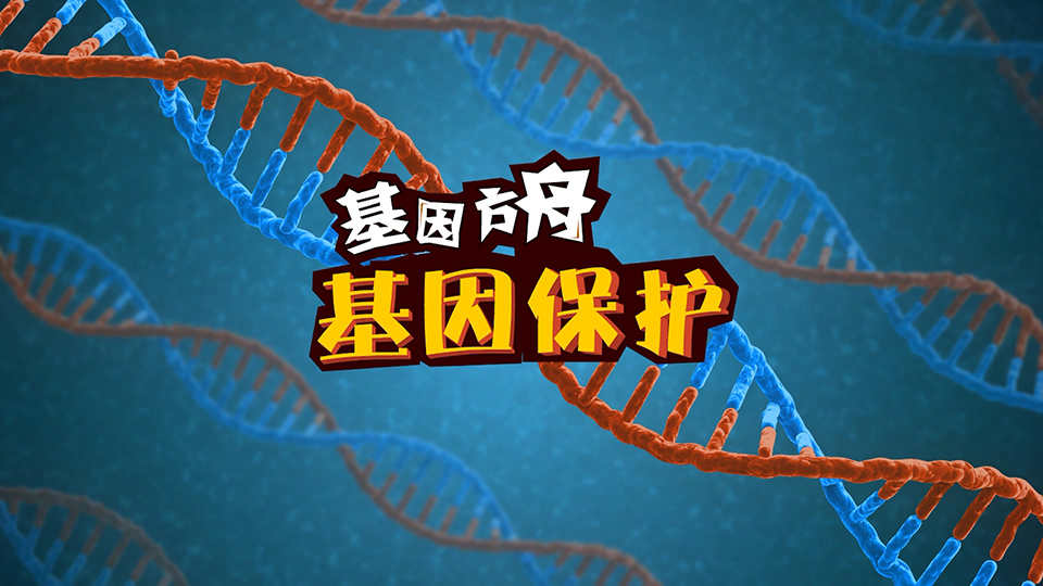 基因方舟 系列二維動(dòng)畫(huà)微課之《基因保護(hù)》