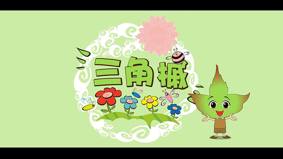 上海市環(huán)境學校 三角槭