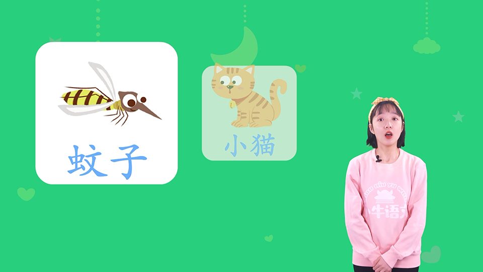 快哉小課 微課程拍攝之《小洞不補(bǔ)》