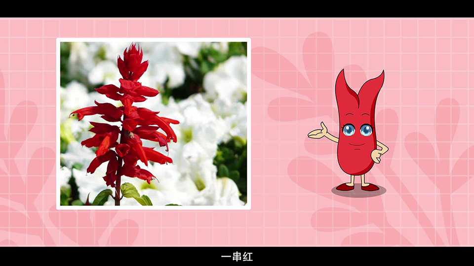 上海市環(huán)境學校 一串紅