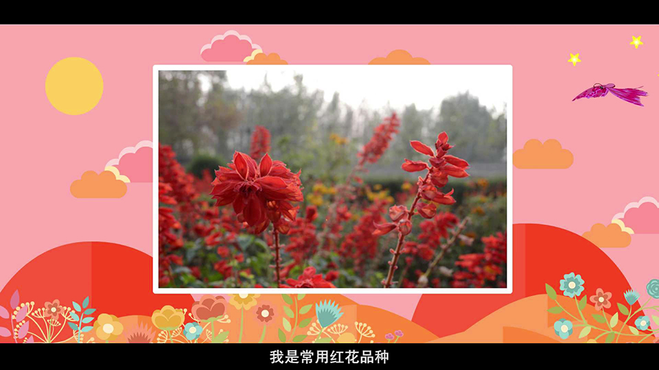 上海市環(huán)境學校 一串紅