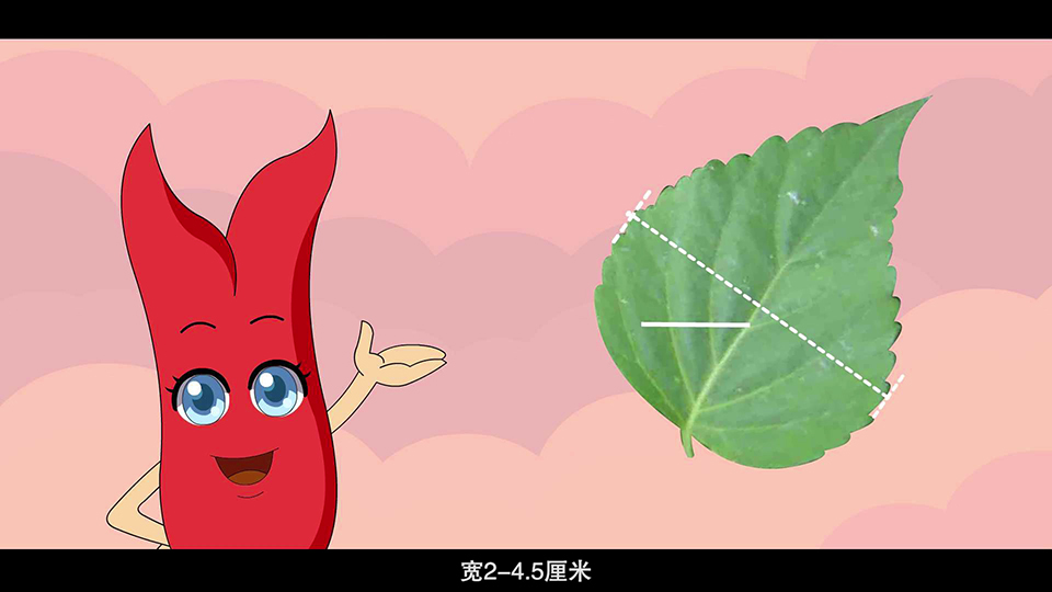 上海市環(huán)境學校 一串紅