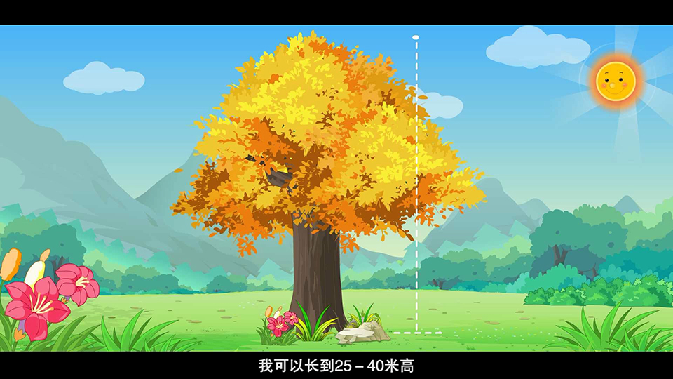 上海市環(huán)境學校 銀杏